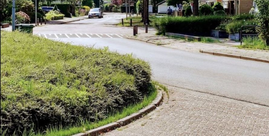 Kunt u mij de weg in Fijnaart vertellen, meneer?